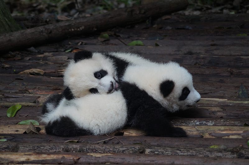How to Add Columns to Pandas at a Specific Location