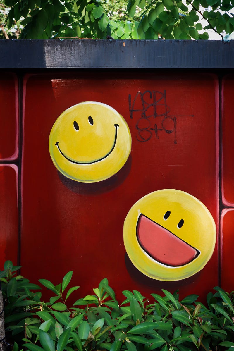 Sentiment Analysis with Pretrained Transformers Using Pytorch