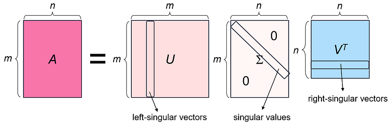 Left Singular Vectorsof Matrix Singular Value Decomposition (SVD), Demystified