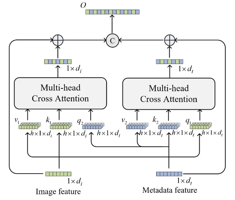 Building a mutual attention model from scratch with PyTorch