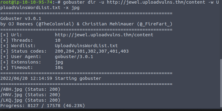 TryHackMe: Upload Vulnerabilities — Walkthrough