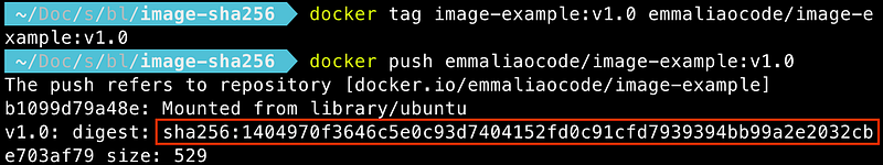 All those sha256s in a docker image