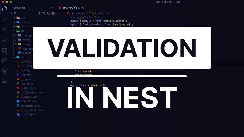 Steps to the Clean Code: Reusable validation in NodeJS + NestJS projects.