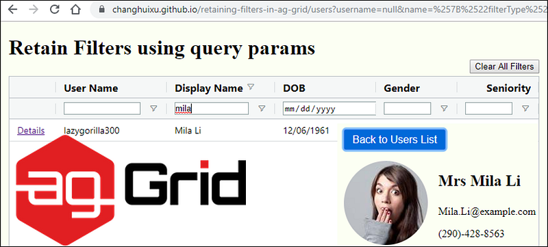 Retaining ag-Grid Filters Using Query Parameters