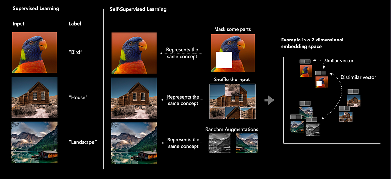Introduction to Self-Supervised Learning (SSL).