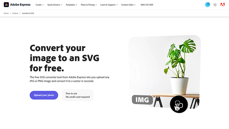 Adobe’s FREE AI Tool Converts Your Image Into Vector In Seconds
