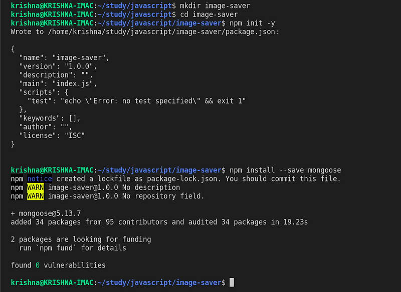 Storing Images in MongoDB Using NodeJS