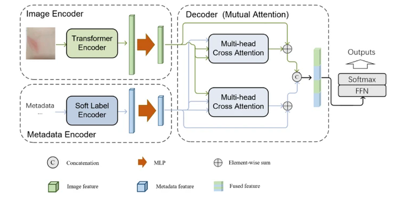 Building a mutual attention model from scratch with PyTorch