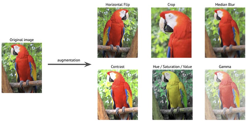 An Image Annotation Guide using Roboflow for Object Detection