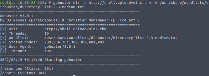TryHackMe: Upload Vulnerabilities — Walkthrough