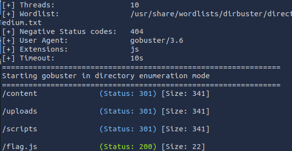 TryHackMe — Gobuster: The Basics — Writeup