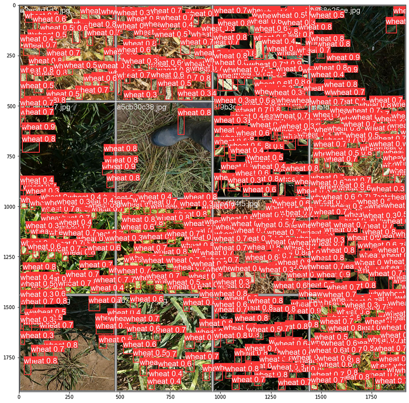 YOLOv5 Tutorial on Custom Object Detection Using Kaggle Competition Dataset