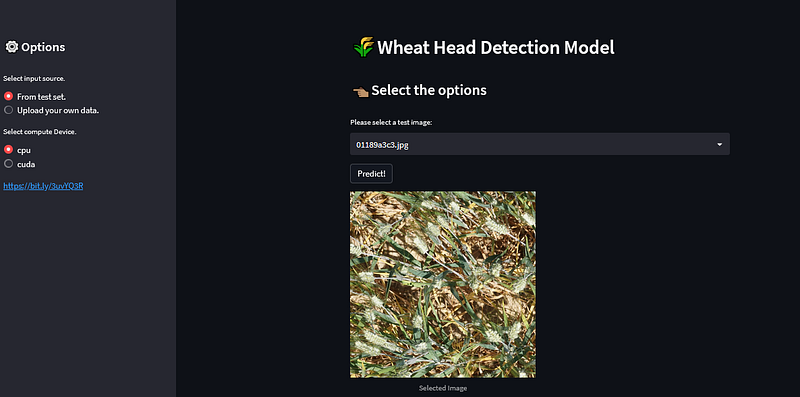 YOLOv5 Tutorial on Custom Object Detection Using Kaggle Competition Dataset