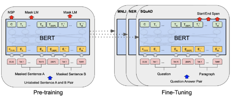 Mastering BERT Model: A Complete Guide to Build it from Scratch