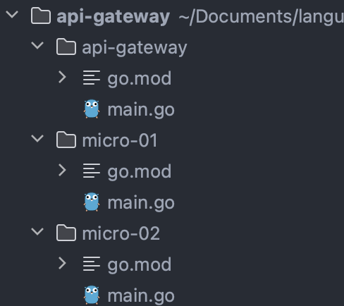 Building an API Gateway with Go