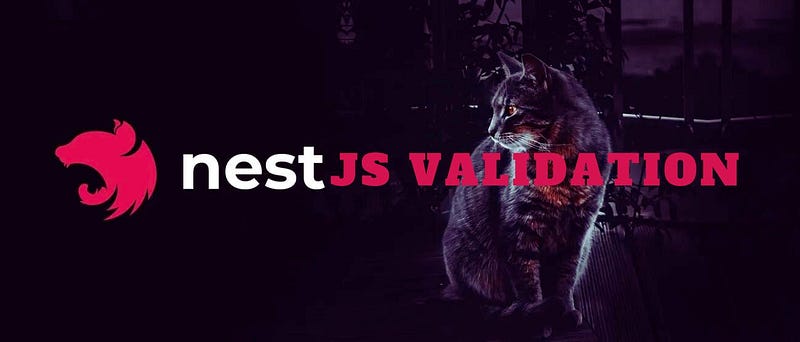 Mastering Data Validation in NestJS: A Complete Guide with Class ...
