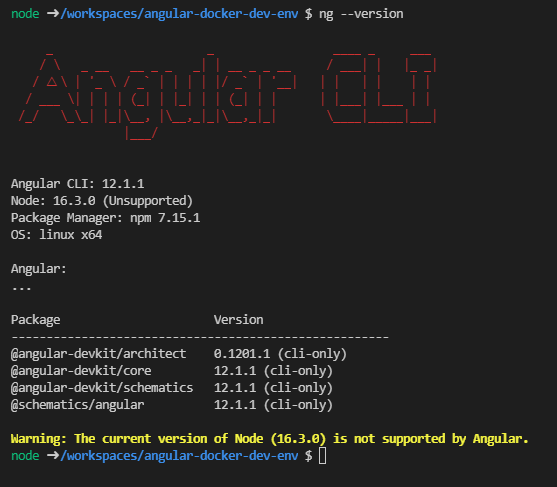 Angular Development in Docker with Dev Containers